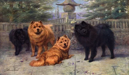 Vier Champion Chow-Chows im Besitz von Mrs. Scaramanga